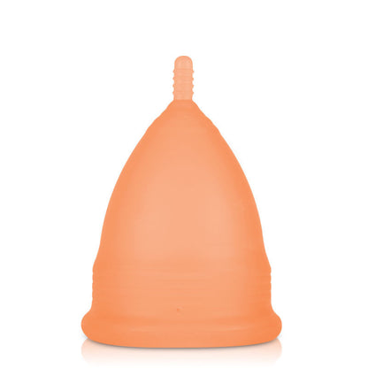 Menstrual Cup Silicon Can Replace Sanitary Napkin Aunt Towel Tampon Can Swim