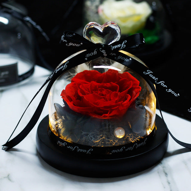 Mother Day Present Dried Flowers The
