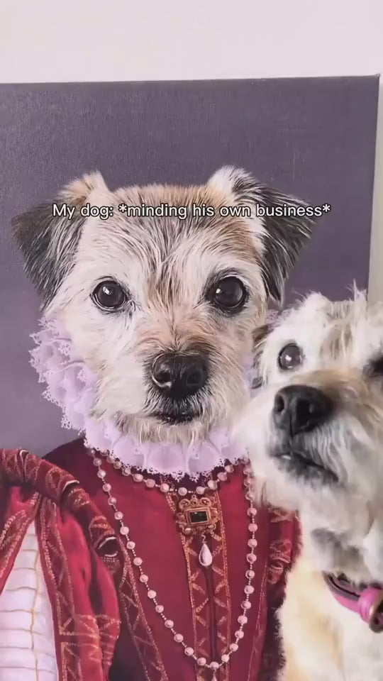 1.mp4